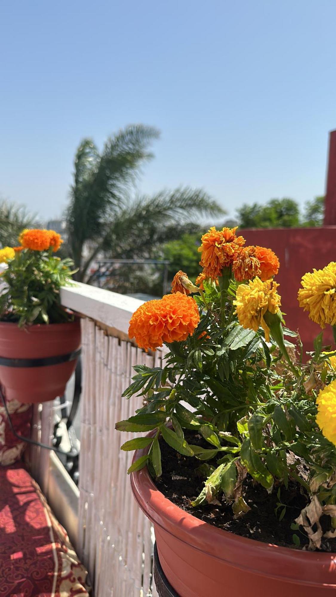 House With Sea View In Kasbah Villa Tanger Kültér fotó